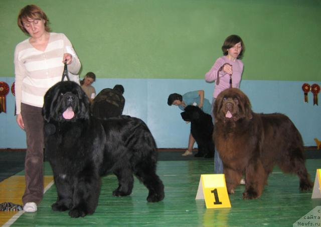 Фотография № 10210