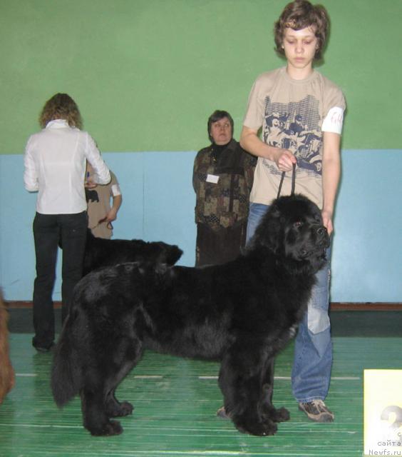 Фотография № 10212