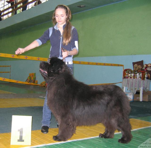 Фотография № 10214