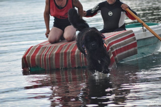 Фотография № 102149