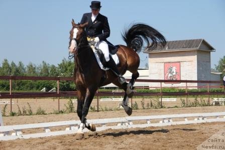 Фотография № 102150