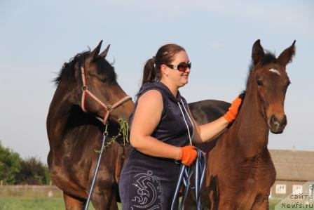 Фотография № 102152