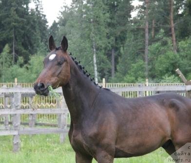 Фотография № 102162