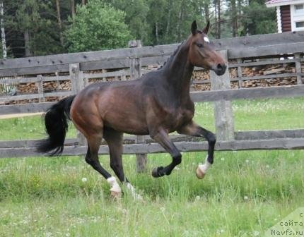 Фотография № 102163