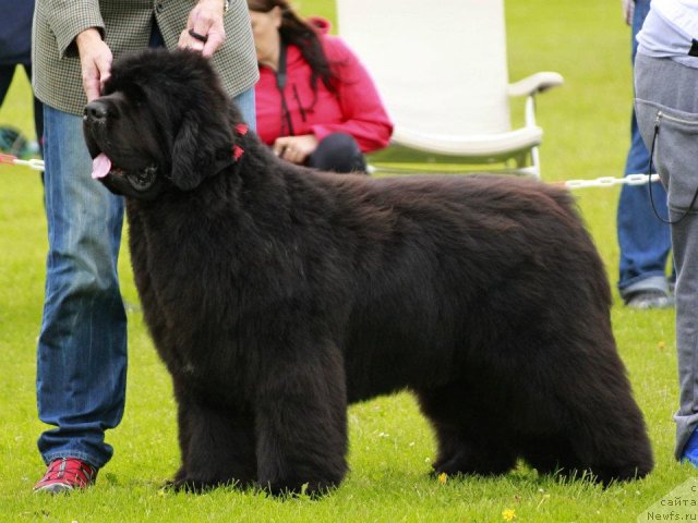 Фотография № 102192