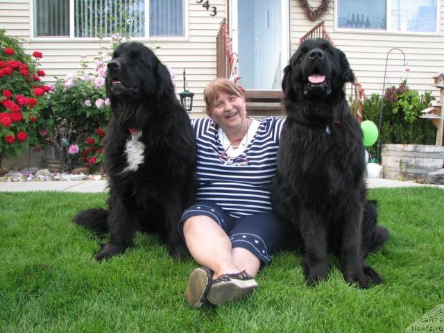 Фотография № 10221