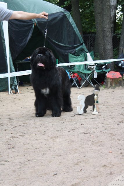 Фотография № 102233