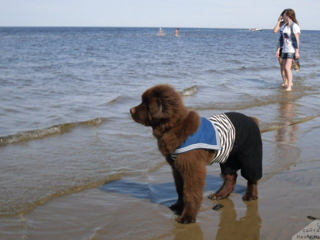 Фотография № 102242