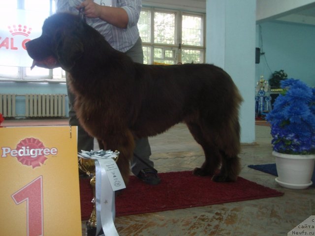 Фотография № 102245