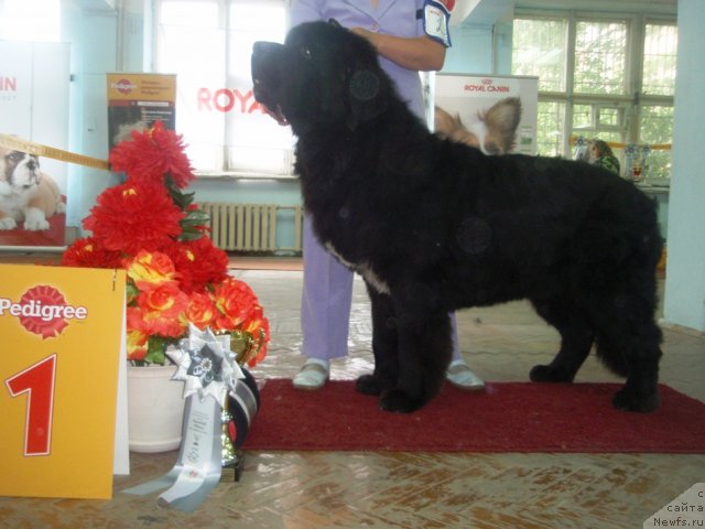 Фотография № 102249