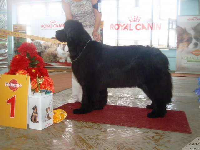 Фотография № 102253