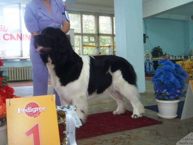 Фотография № 102254