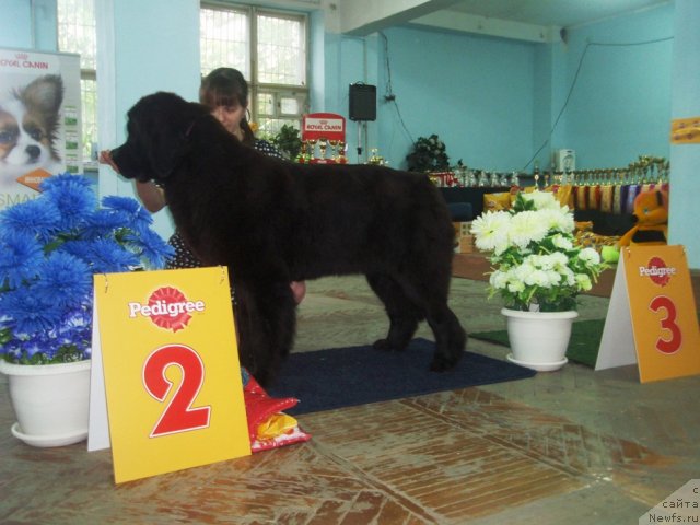 Фотография № 102256