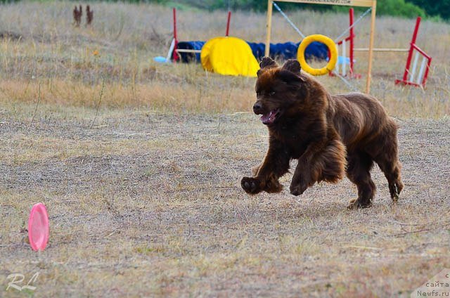 Фотография № 102265