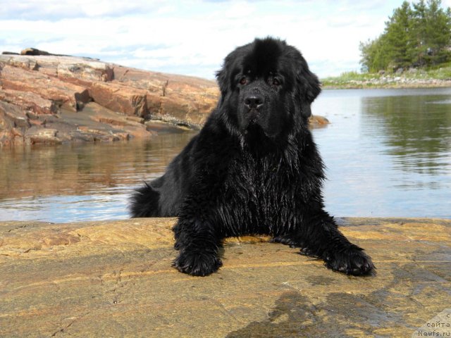 Фотография № 102289