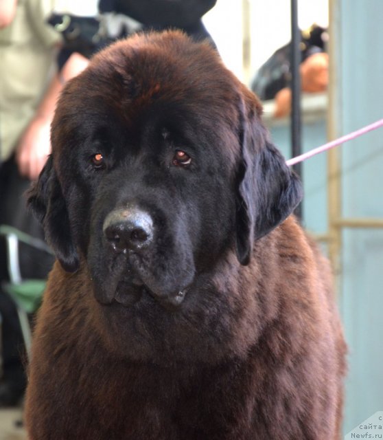 Фотография № 102317