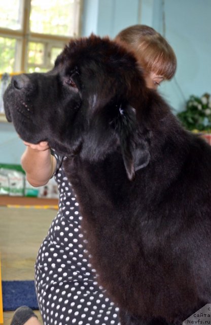 Фотография № 102321