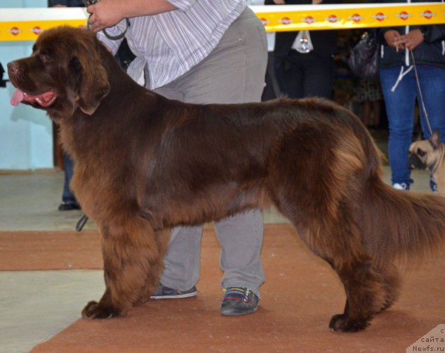 Фотография № 102322