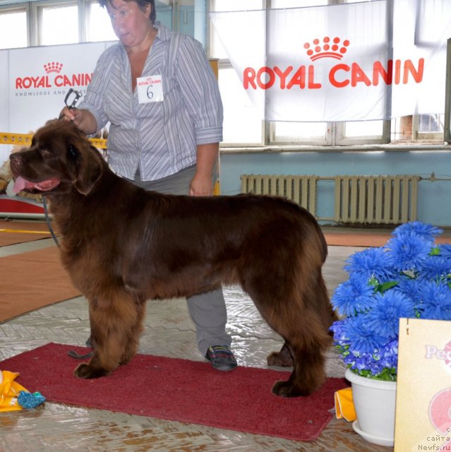 Фотография № 102324