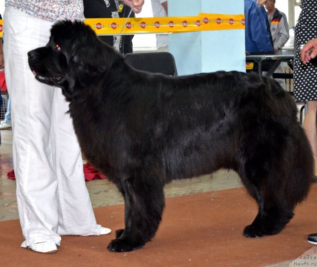 Фотография № 102326