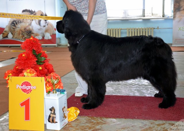 Фотография № 102327