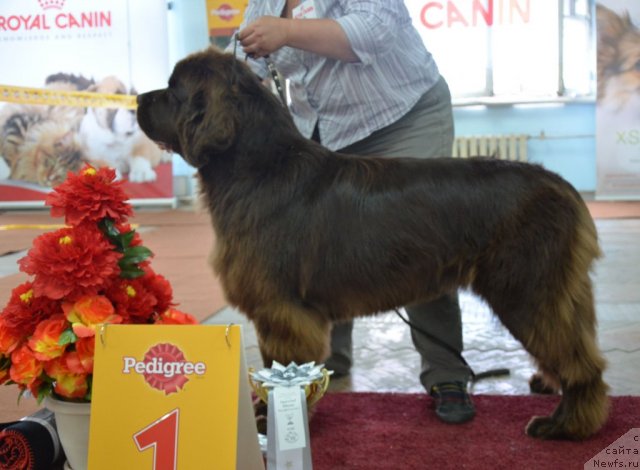 Фотография № 102346