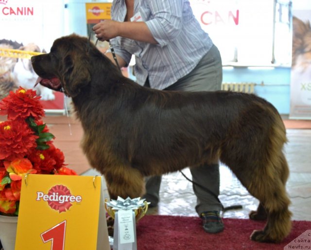 Фотография № 102347