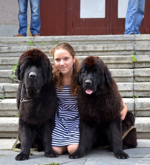 Фотография № 102348