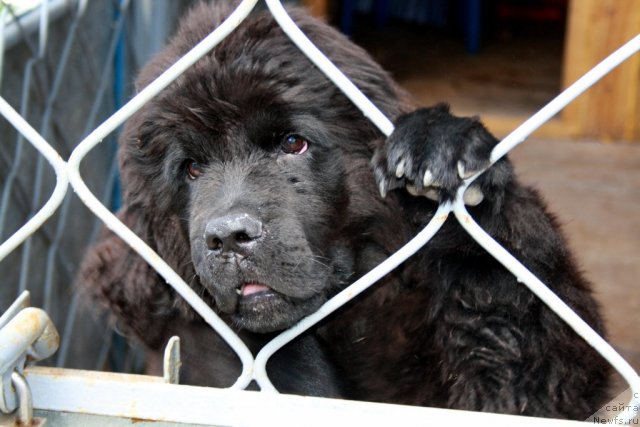 Фотография № 102421