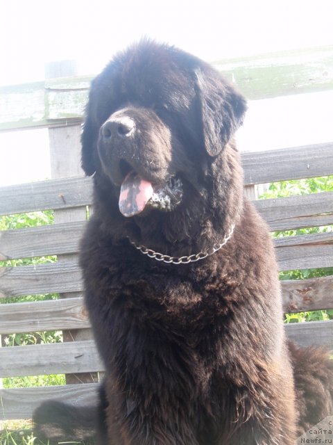 Фотография № 102527