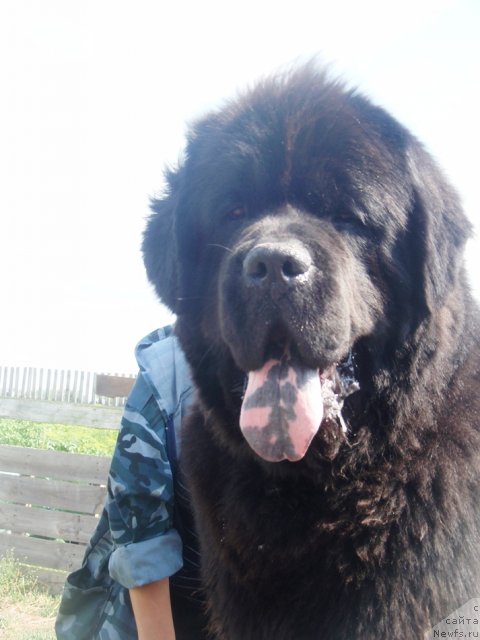 Фотография № 102531