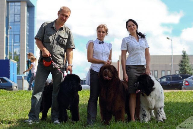 Фотография № 102547