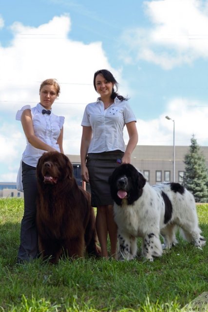 Фотография № 102548