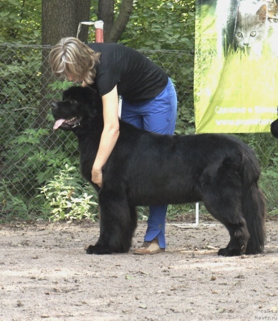 Фотография № 102554