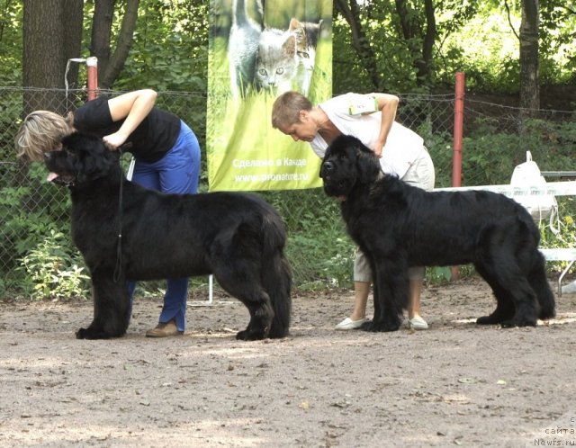 Фотография № 102556