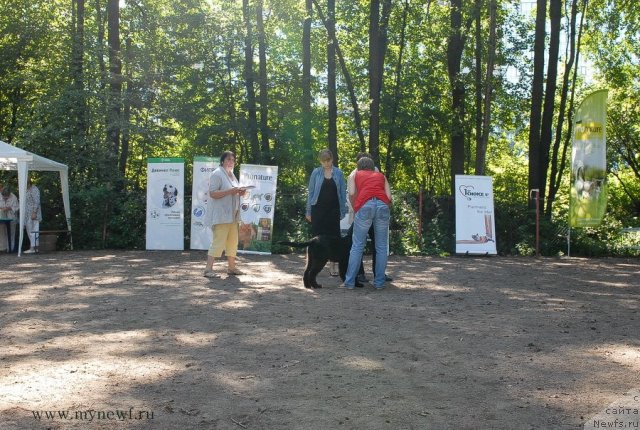 Фотография № 102568