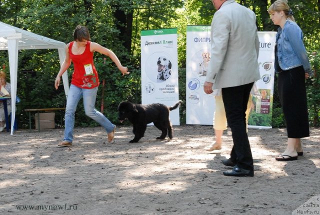 Фотография № 102569