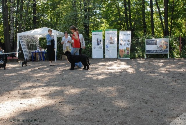 Фотография № 102571