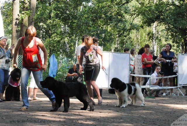 Фотография № 102577