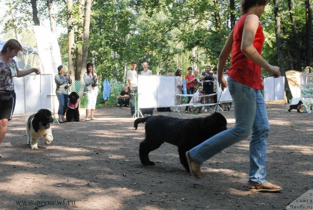 Фотография № 102578