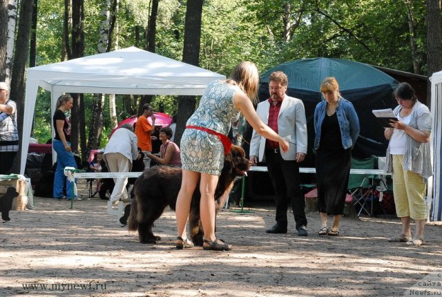 Фотография № 102581