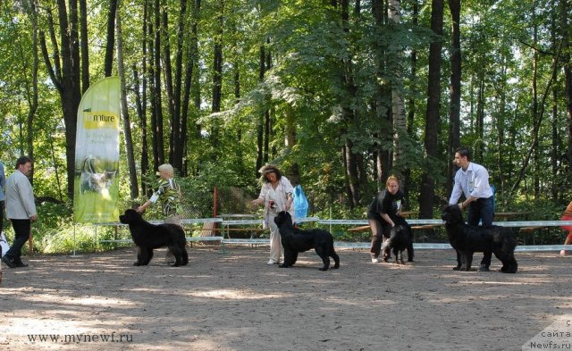 Фотография № 102586