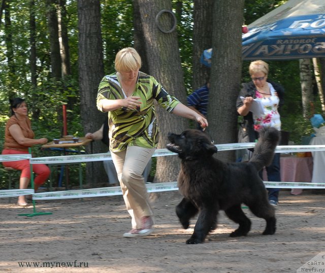 Фотография № 102587