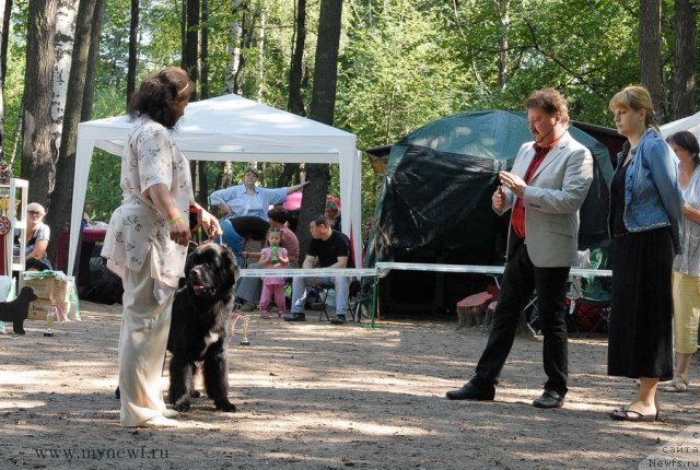 Фотография № 102589