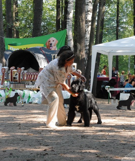 Фотография № 102590