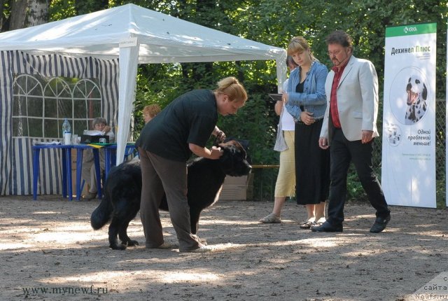 Фотография № 102592