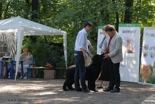 Фотография № 102594