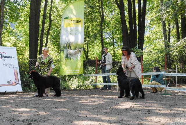 Фотография № 102597