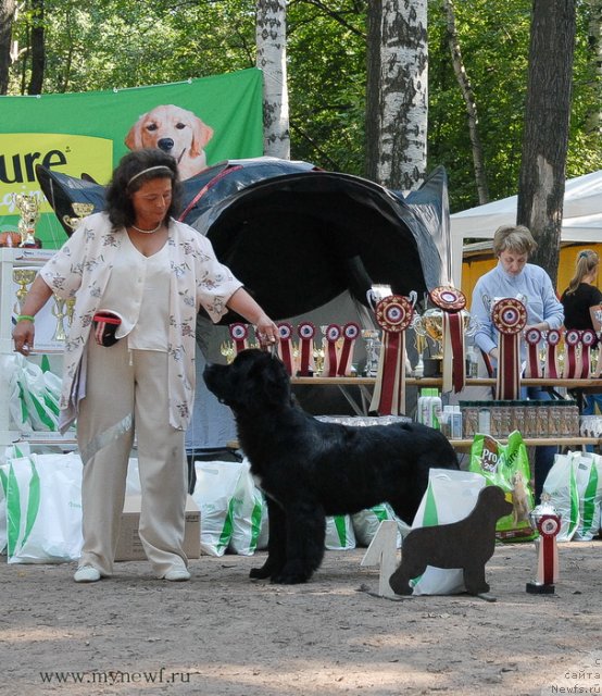 Фотография № 102600