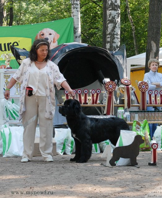 Фотография № 102601